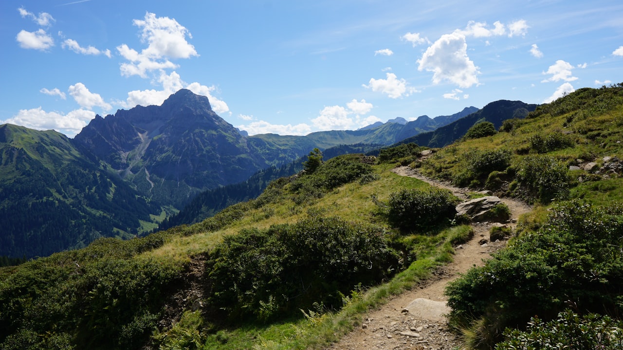 A Comprehensive Buying Guide for Short Layered Wigs