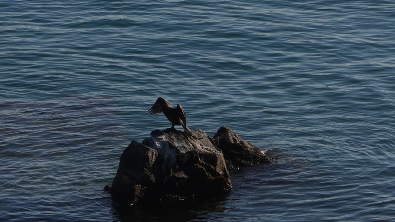 What's A Portable Inverter Generator & Where Can I Use It?