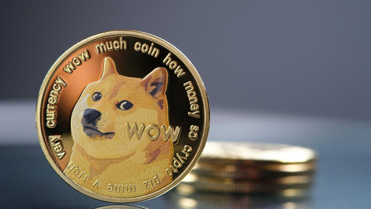 Learn How to Buy Dogecoin on Bitget and Track Prices in Real Time